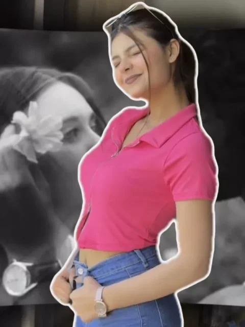 Bairan Capcut Template Link Working