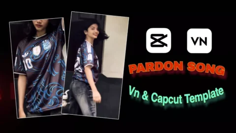 Coook Pardon Capcut And VN Template